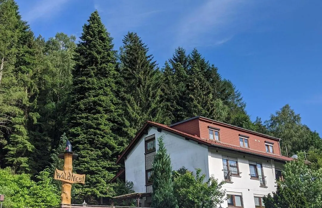 Waldnest Odenwald-1